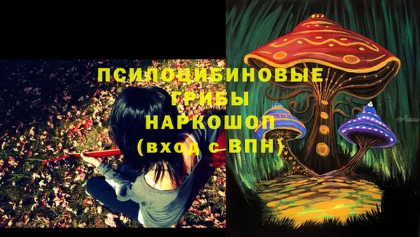 соль курить ск Алексин