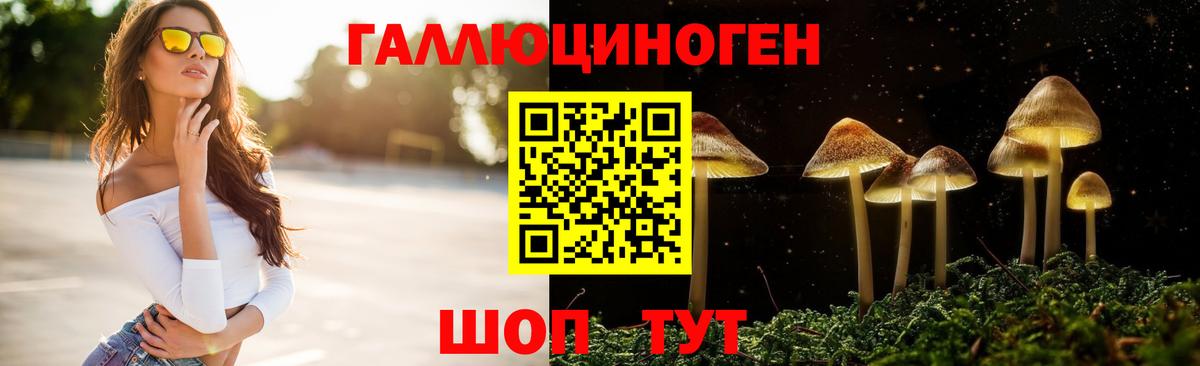 Псилоцибиновые грибы GOLDEN TEACHER Киржач