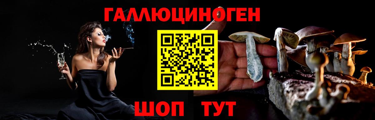 Галлюциногенные грибы прущие грибы  Вход с VPN  Киржач 