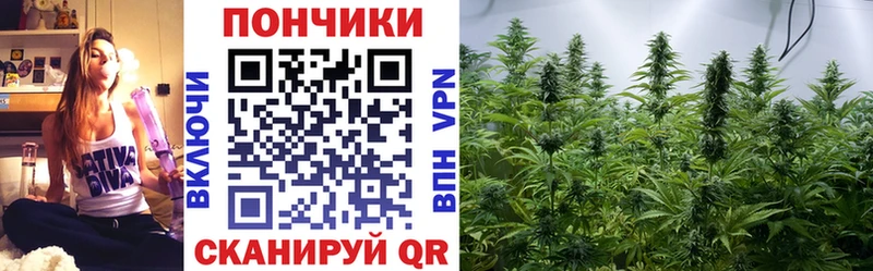 Бошки марихуана марихуана  Киржач 